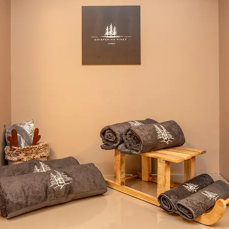 Whispering Pines Mountain View With Ski-in Access * Брей-Червінія